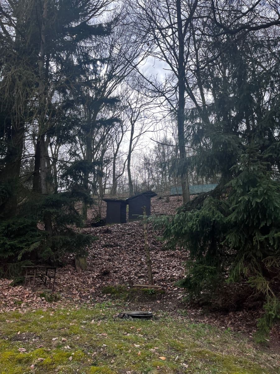 Prodej chaty, chalupy 28 m², pozemek 28 m², Mníšek pod Brdy, Středočeský kraj Prodej chaty, chalupy 28 m², pozemek 28 m², Mníšek pod Brdy, Středočeský kraj