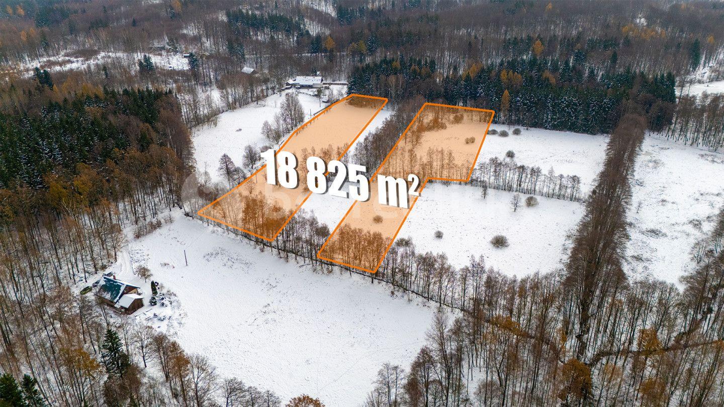 Prodej chaty, chalupy 90 m², pozemek 18.666 m², Raspenava, Liberecký kraj