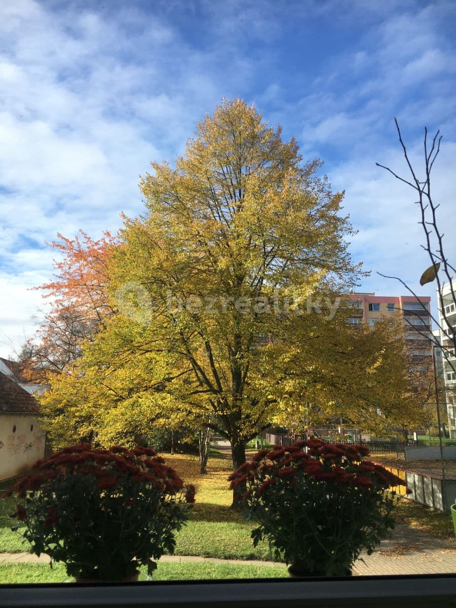 Pronájem bytu 1+1 38 m², Na Hranicích, Praha, Praha Pronájem bytu 1+1 38 m², Na Hranicích, Praha, Praha