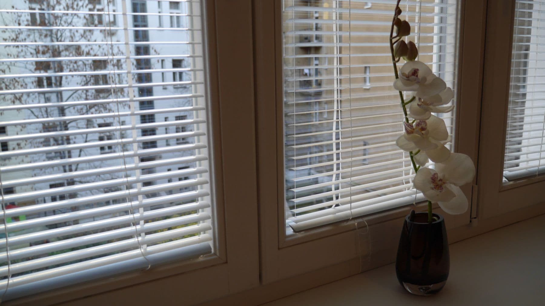 Pronájem bytu 45 m², Sportovní, Praha, Praha Pronájem bytu 45 m², Sportovní, Praha, Praha