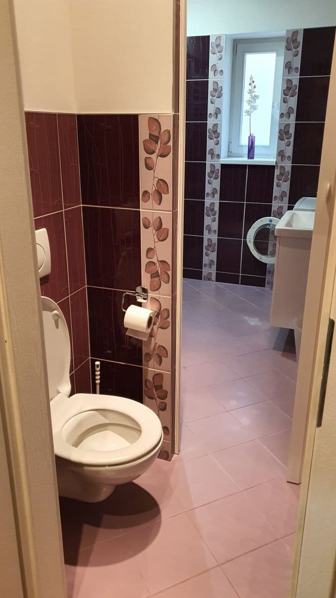 Pronájem bytu 45 m², Sportovní, Praha, Praha Pronájem bytu 45 m², Sportovní, Praha, Praha