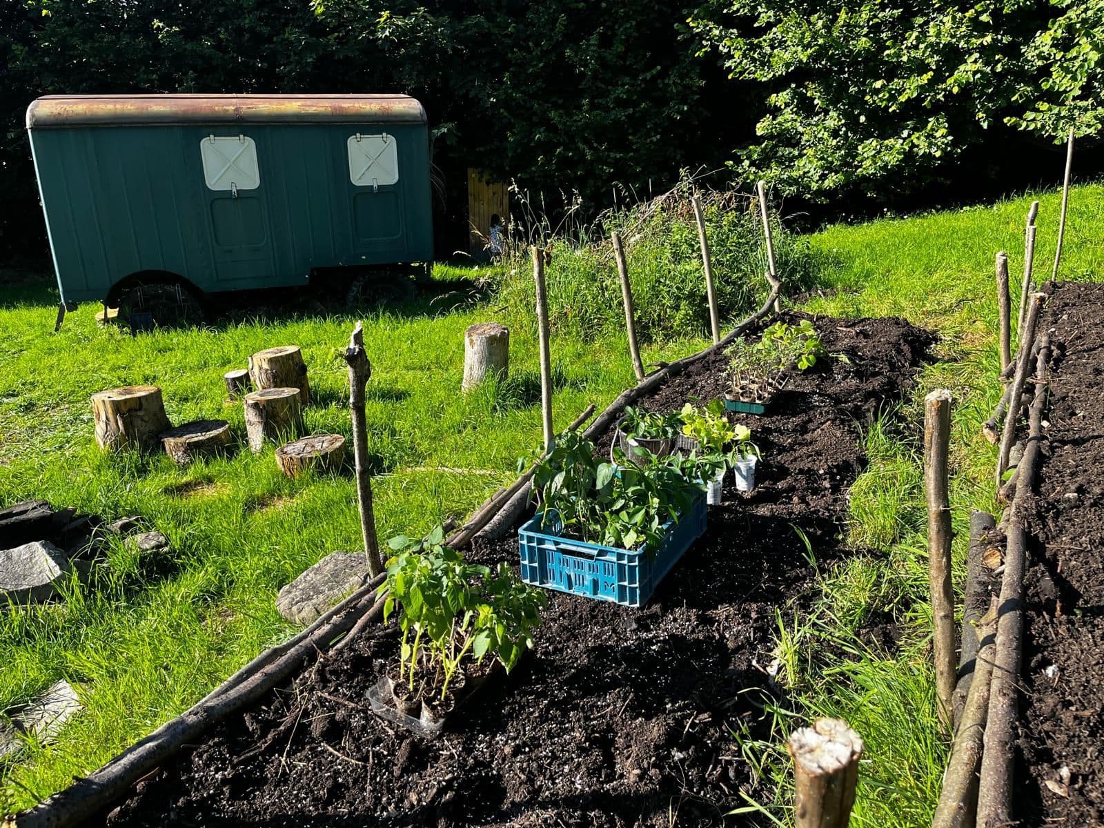 Prodej pozemku 10.000 m², Bystřice, Moravskoslezský kraj Prodej pozemku 10.000 m², Bystřice, Moravskoslezský kraj