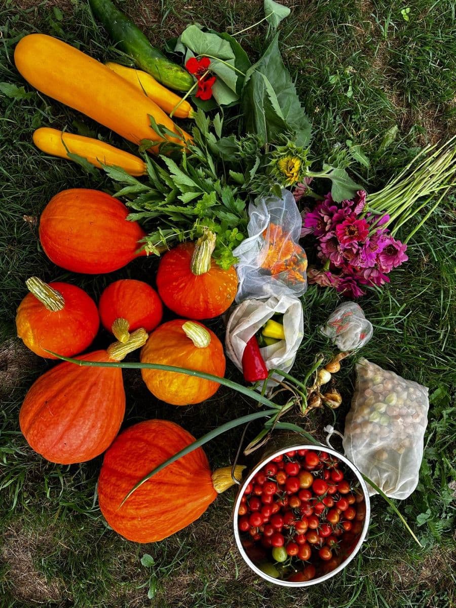 Prodej pozemku 10.000 m², Bystřice, Moravskoslezský kraj Prodej pozemku 10.000 m², Bystřice, Moravskoslezský kraj