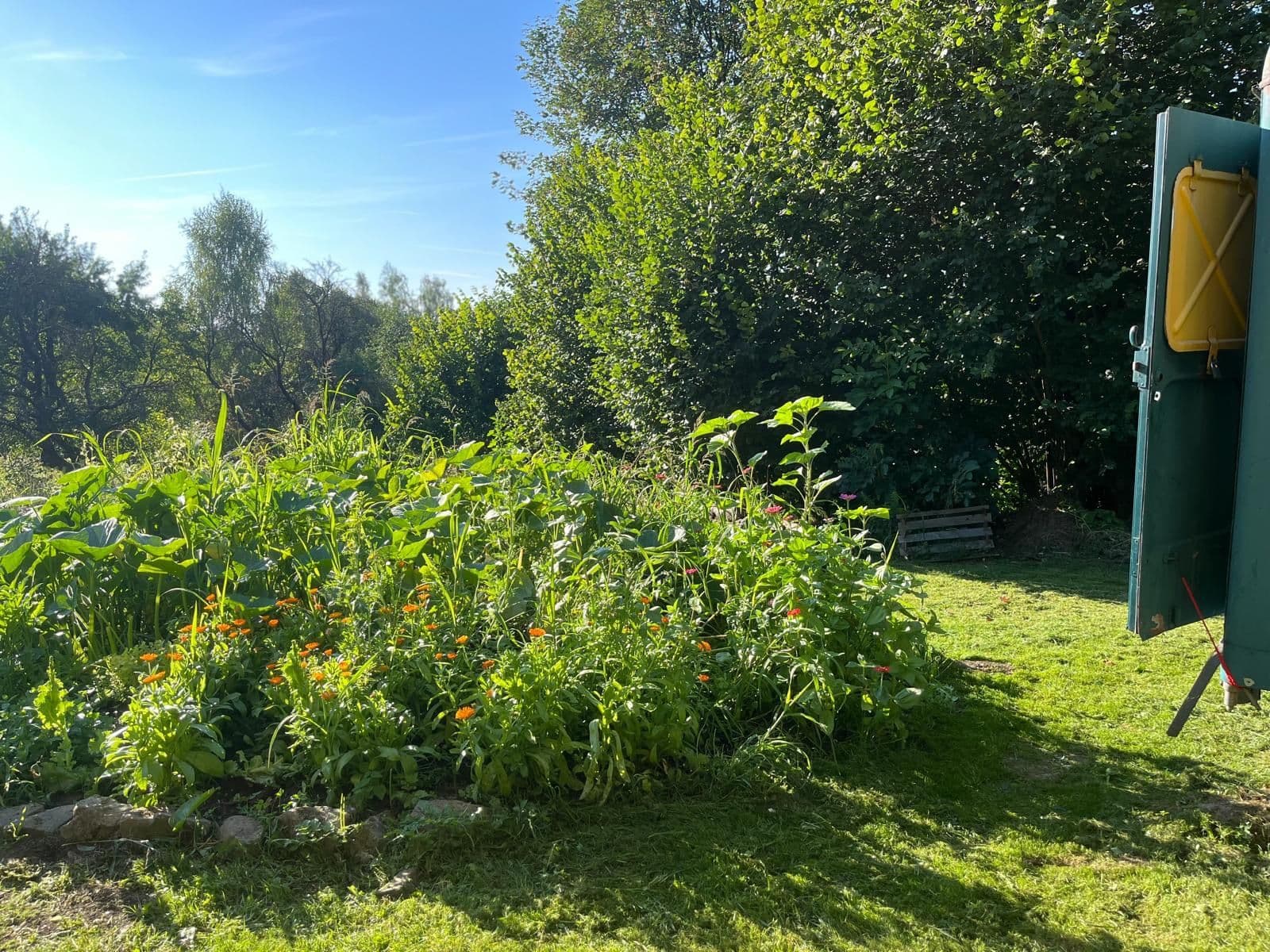 Prodej pozemku 10.000 m², Bystřice, Moravskoslezský kraj Prodej pozemku 10.000 m², Bystřice, Moravskoslezský kraj