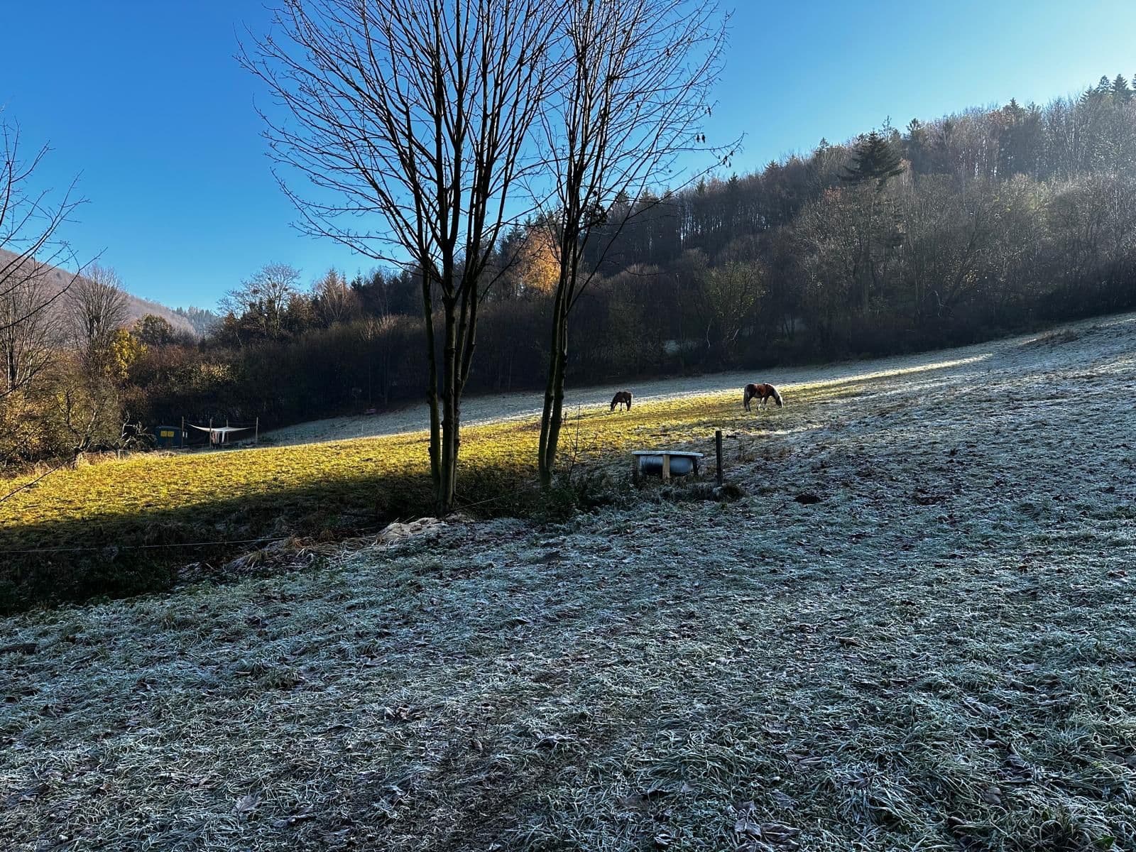 Prodej pozemku 10.000 m², Bystřice, Moravskoslezský kraj Prodej pozemku 10.000 m², Bystřice, Moravskoslezský kraj
