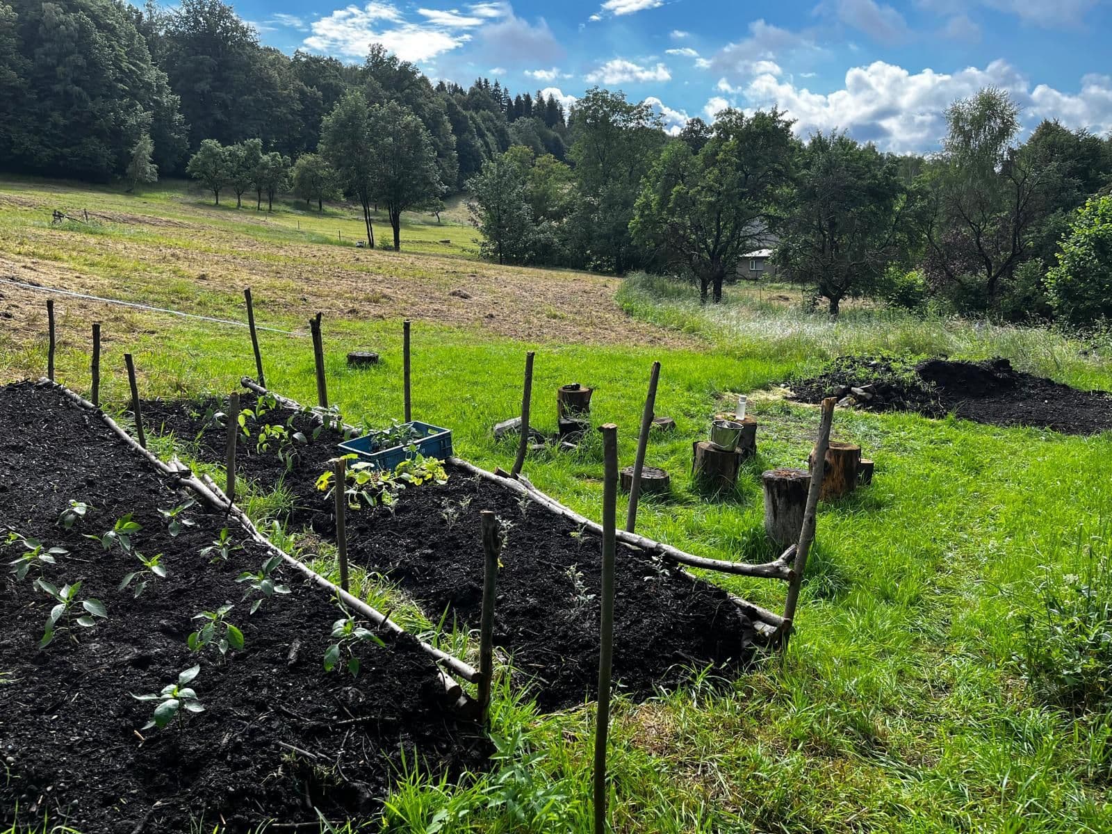 Prodej pozemku 10.000 m², Bystřice, Moravskoslezský kraj Prodej pozemku 10.000 m², Bystřice, Moravskoslezský kraj