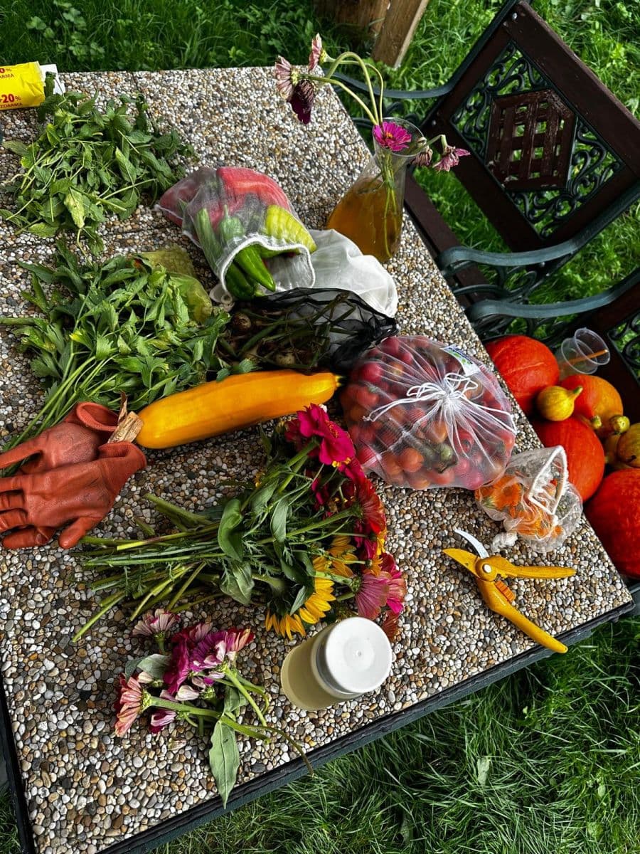 Prodej pozemku 10.000 m², Bystřice, Moravskoslezský kraj Prodej pozemku 10.000 m², Bystřice, Moravskoslezský kraj