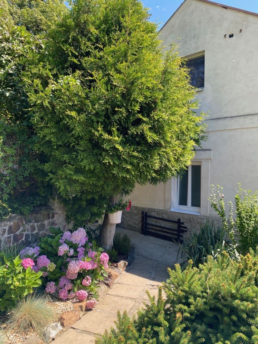 Pronájem bytu 2+1 63 m², U Potoka, Všenory, Středočeský kraj Pronájem bytu 2+1 63 m², U Potoka, Všenory, Středočeský kraj