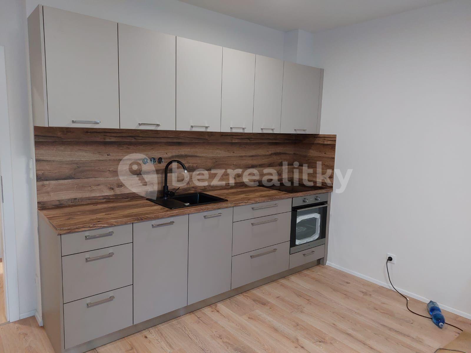 Pronájem bytu 1+kk 47 m², Nová, České Budějovice, Jihočeský kraj