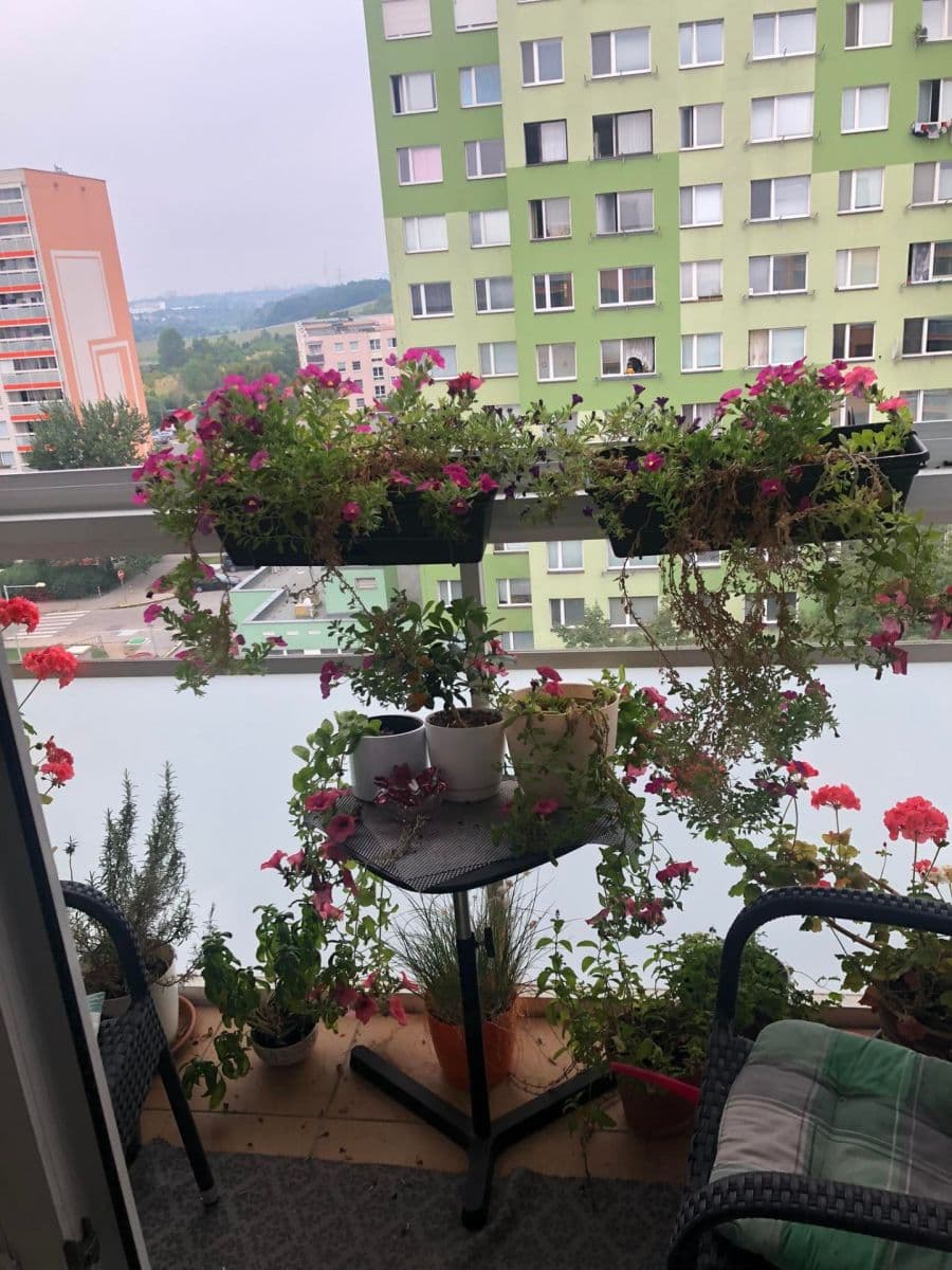 Pronájem bytu 2+kk 47 m², Vybíralova, Praha, Praha Pronájem bytu 2+kk 47 m², Vybíralova, Praha, Praha