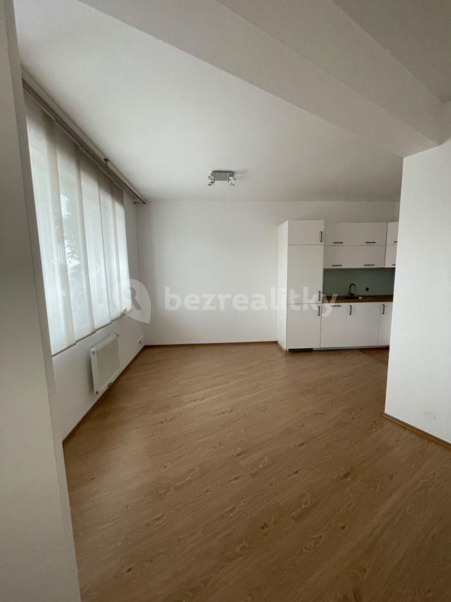 Pronájem bytu 1+kk 53 m², Březenská, Praha, Praha