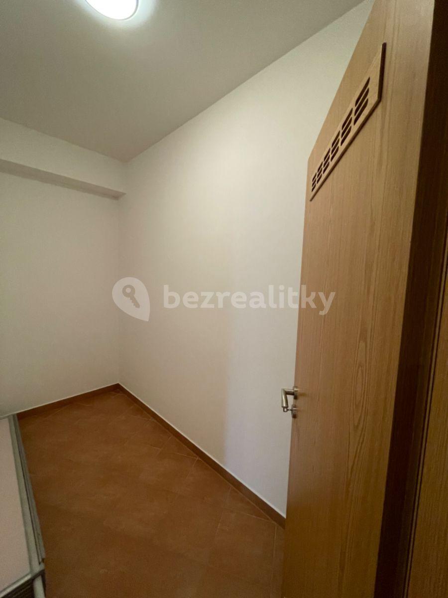 Pronájem bytu 1+kk 53 m², Březenská, Praha, Praha
