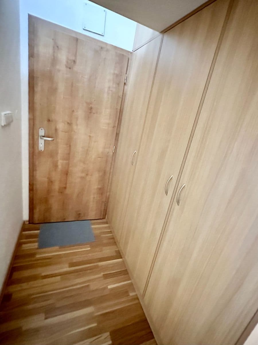 Pronájem bytu 1+kk 23 m², Radlická, Praha, Praha Pronájem bytu 1+kk 23 m², Radlická, Praha, Praha