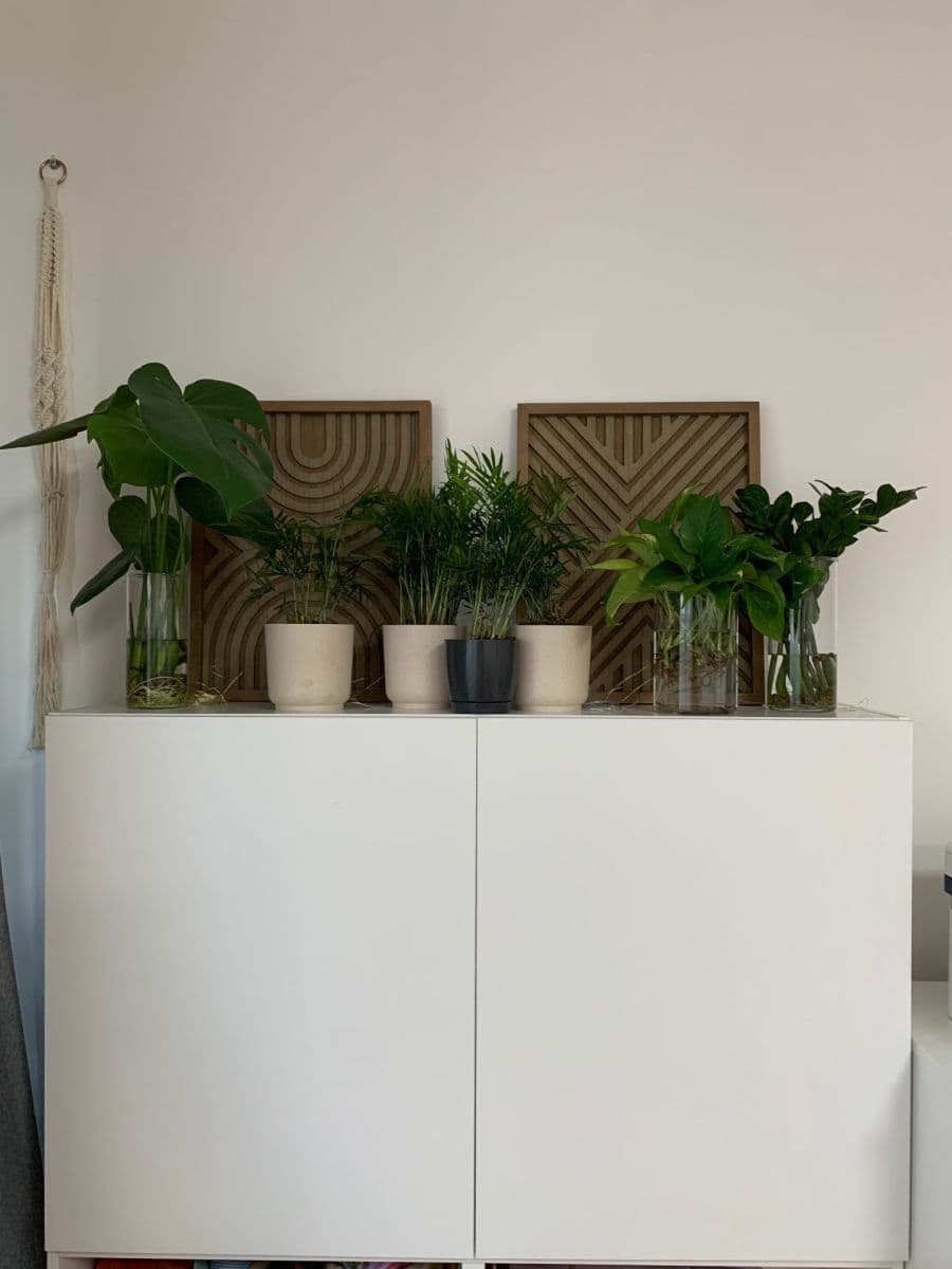 Pronájem bytu Garsoniéra 36 m², Mickiewiczova, Bratislava - mestská časť Staré Mesto, Bratislavský kraj Pronájem bytu Garsoniéra 36 m², Mickiewiczova, Bratislava - mestská časť Staré Mesto, Bratislavský kraj