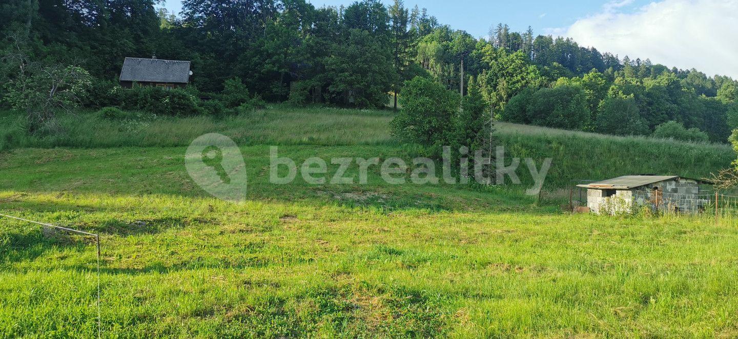 Prodej pozemku 2.296 m², Město Albrechtice, Moravskoslezský kraj