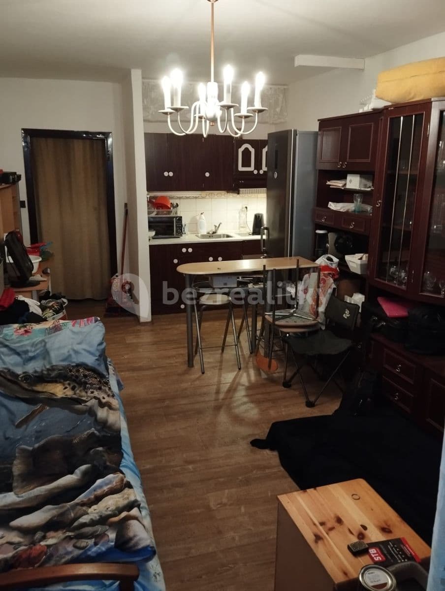 Pronájem bytu Garsoniéra 28 m², Černého, Praha, Praha Pronájem bytu Garsoniéra 28 m², Černého, Praha, Praha