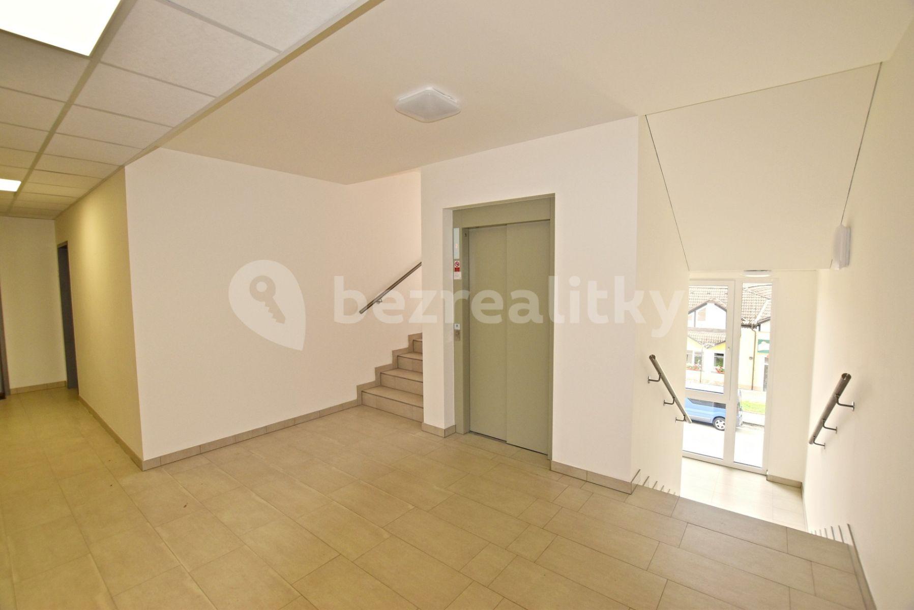 Pronájem bytu 1+kk 35 m², Novohradská, České Budějovice, Jihočeský kraj