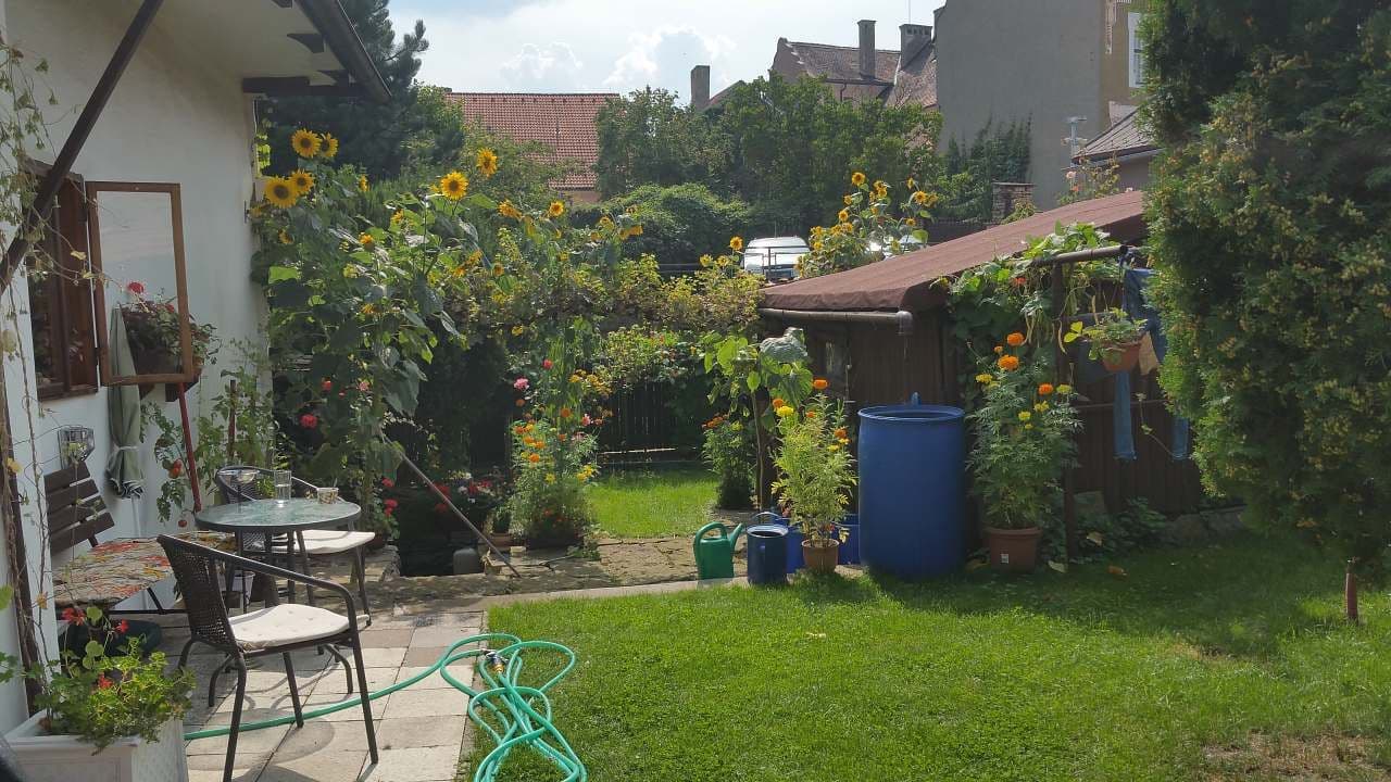 Pronájem chaty, chalupy, Opočno, Královéhradecký kraj Pronájem chaty, chalupy, Opočno, Královéhradecký kraj