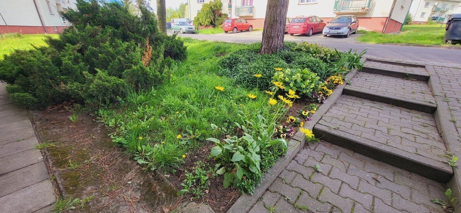 Pronájem bytu 2+1 65 m², Hořany, Stonava, Moravskoslezský kraj Pronájem bytu 2+1 65 m², Hořany, Stonava, Moravskoslezský kraj