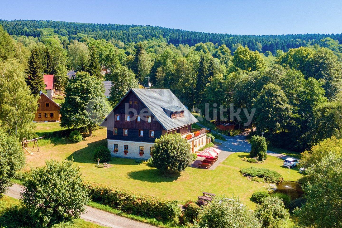 Prodej nebytového prostoru 2.754 m², Deštné v Orlických horách, Královéhradecký kraj