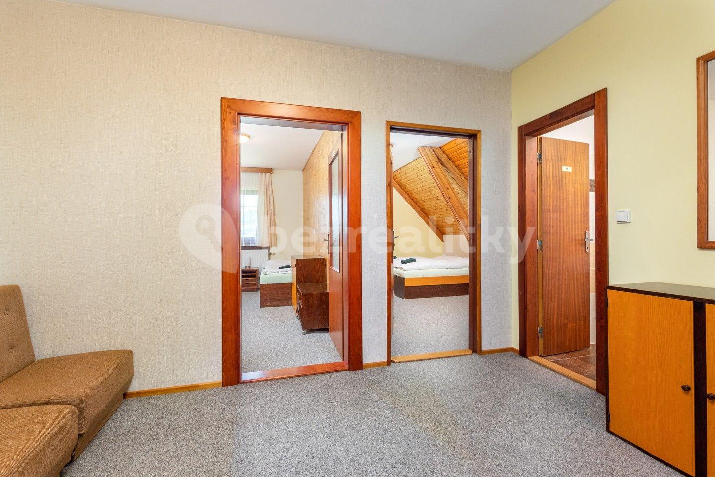 Prodej nebytového prostoru 2.754 m², Deštné v Orlických horách, Královéhradecký kraj