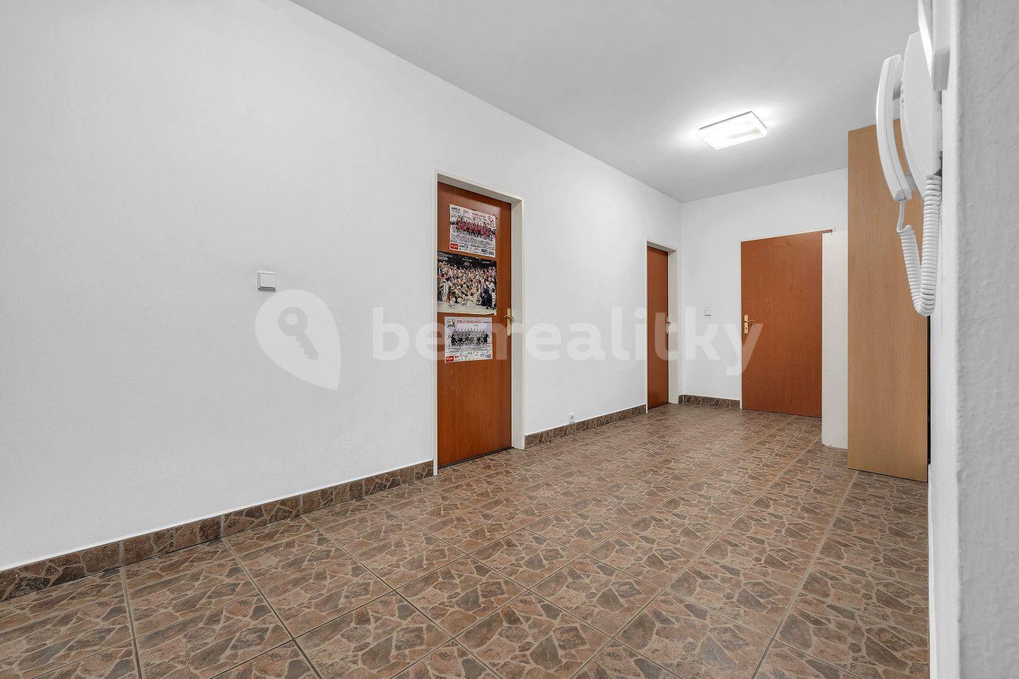 Prodej bytu 3+1 118 m², Podzámčí, Opočno, Královéhradecký kraj