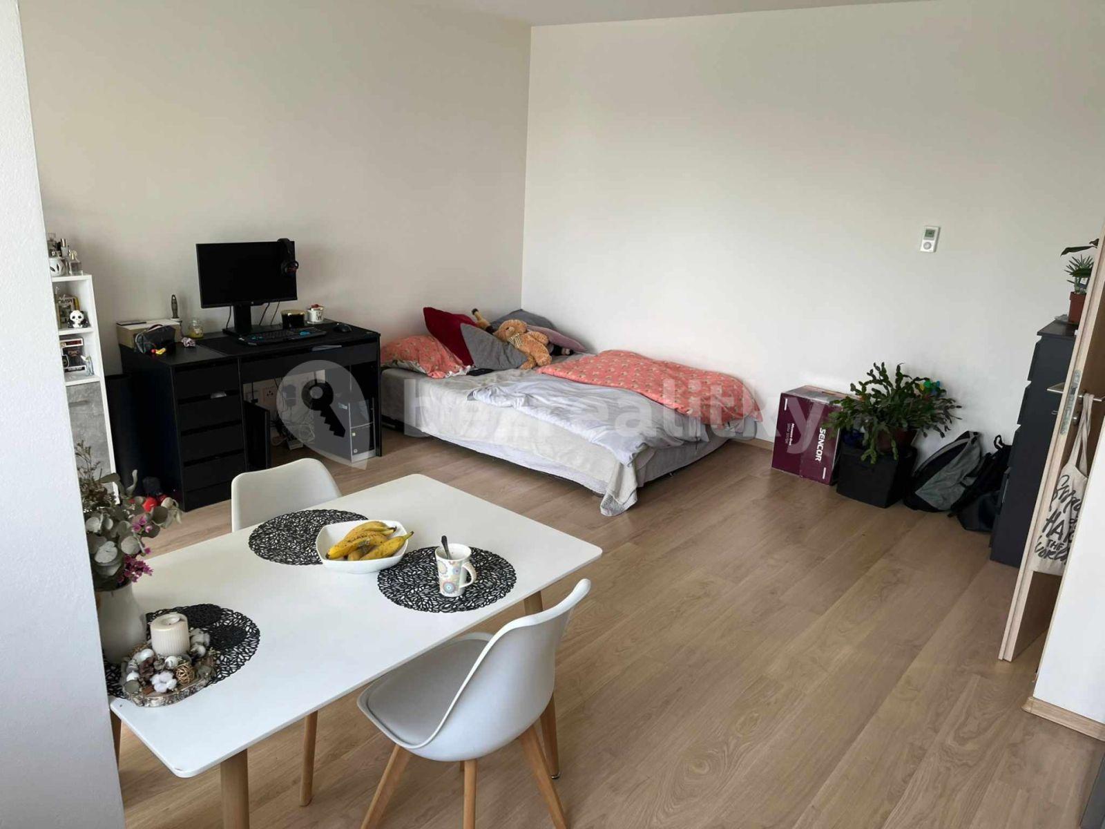 Pronájem bytu 1+kk 35 m², Janského, Olomouc, Olomoucký kraj