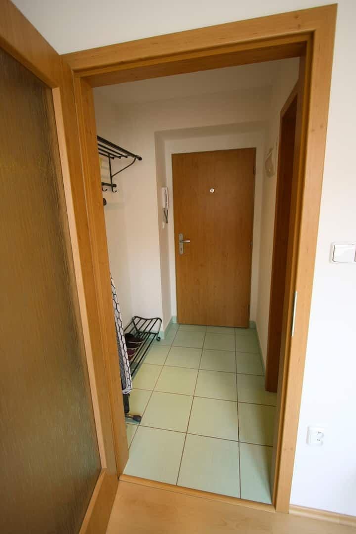 Pronájem bytu 25 m², Heydukova, Praha, Praha Pronájem bytu 25 m², Heydukova, Praha, Praha