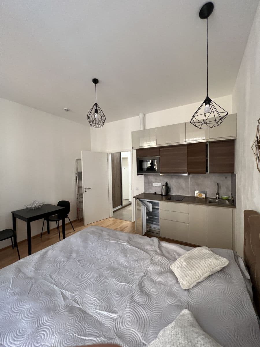 Pronájem bytu  26 m², Tyršova, Praha, Praha Pronájem bytu  26 m², Tyršova, Praha, Praha