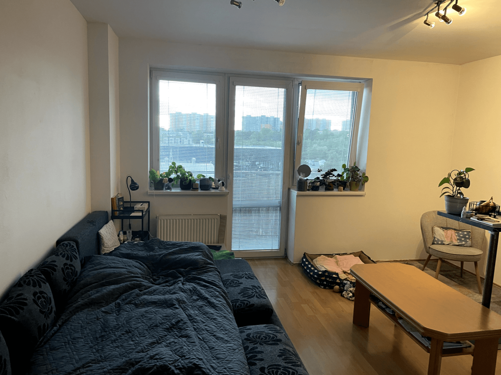 Pronájem bytu 1+kk 30 m², Sedláčkova, Brno, Jihomoravský kraj Pronájem bytu 1+kk 30 m², Sedláčkova, Brno, Jihomoravský kraj