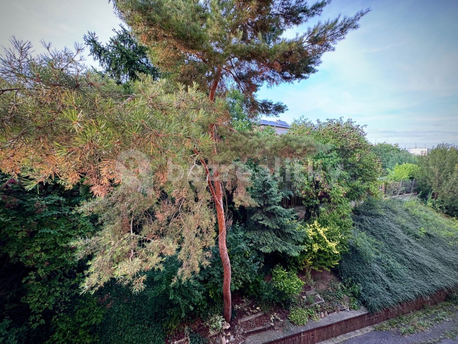 Pronájem bytu 3+kk 91 m², Na Křivce, Praha, Praha Pronájem bytu 3+kk 91 m², Na Křivce, Praha, Praha