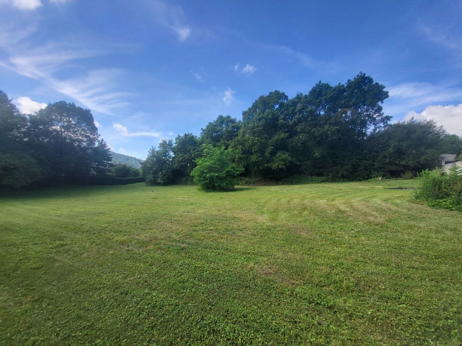 Prodej pozemku 2.527 m², Černošice, Středočeský kraj Prodej pozemku 2.527 m², Černošice, Středočeský kraj