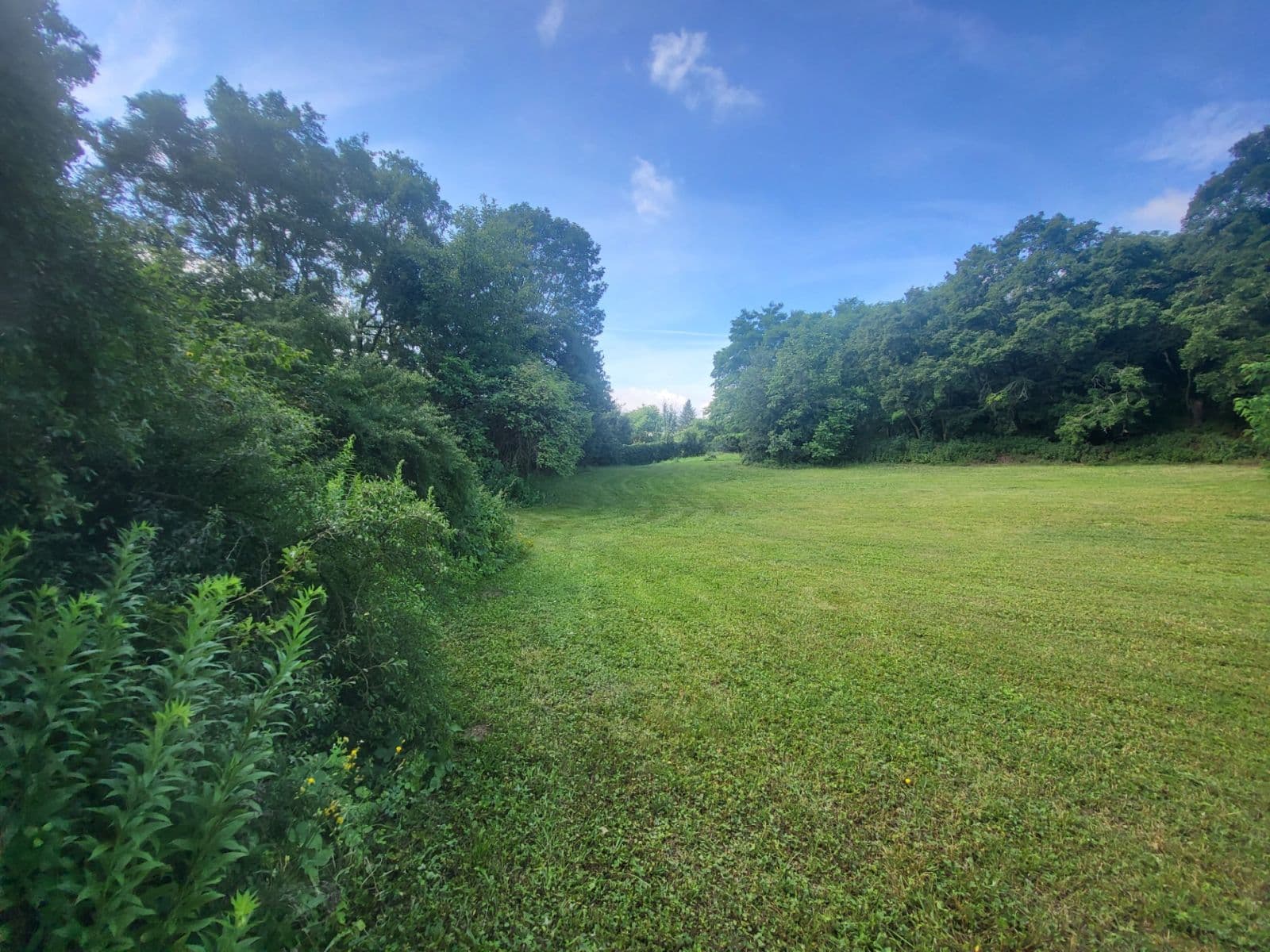 Prodej pozemku 2.527 m², Černošice, Středočeský kraj Prodej pozemku 2.527 m², Černošice, Středočeský kraj