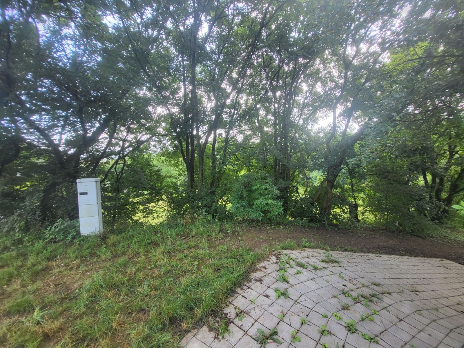 Prodej pozemku 2.527 m², Černošice, Středočeský kraj Prodej pozemku 2.527 m², Černošice, Středočeský kraj