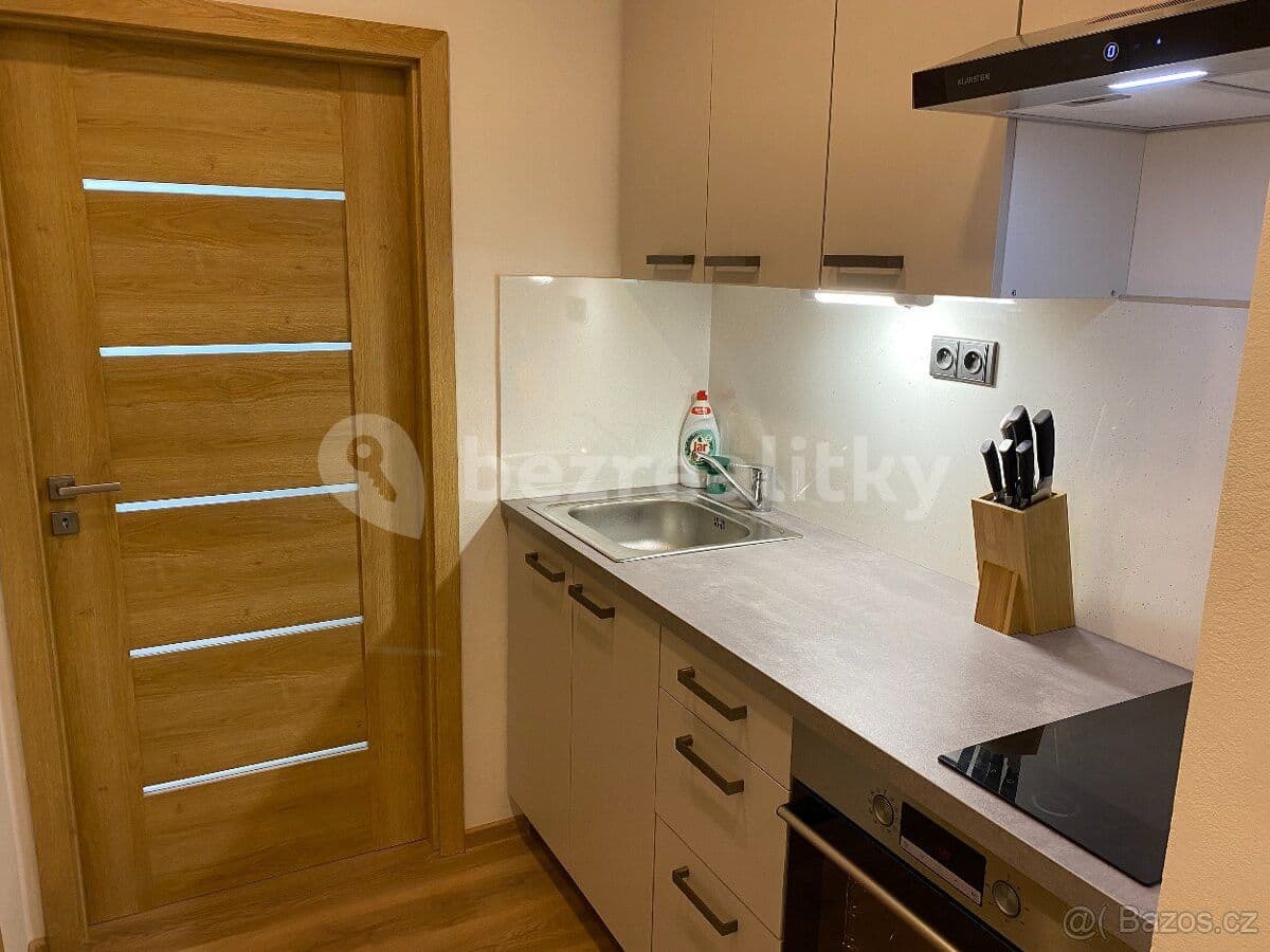 Pronájem bytu 1+kk 28 m², Novoměstská, Brno, Jihomoravský kraj Pronájem bytu 1+kk 28 m², Novoměstská, Brno, Jihomoravský kraj