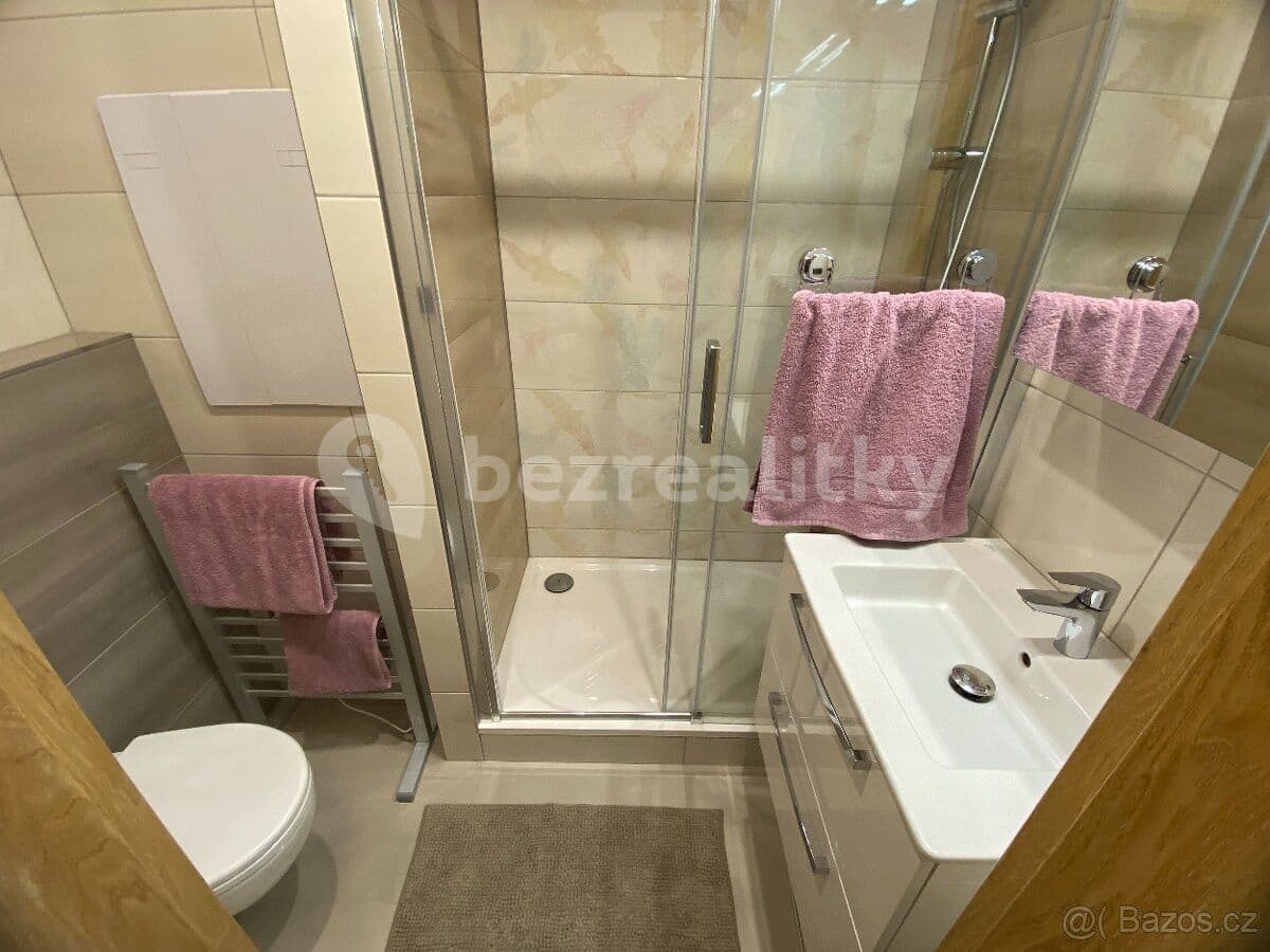 Pronájem bytu 1+kk 28 m², Novoměstská, Brno, Jihomoravský kraj Pronájem bytu 1+kk 28 m², Novoměstská, Brno, Jihomoravský kraj