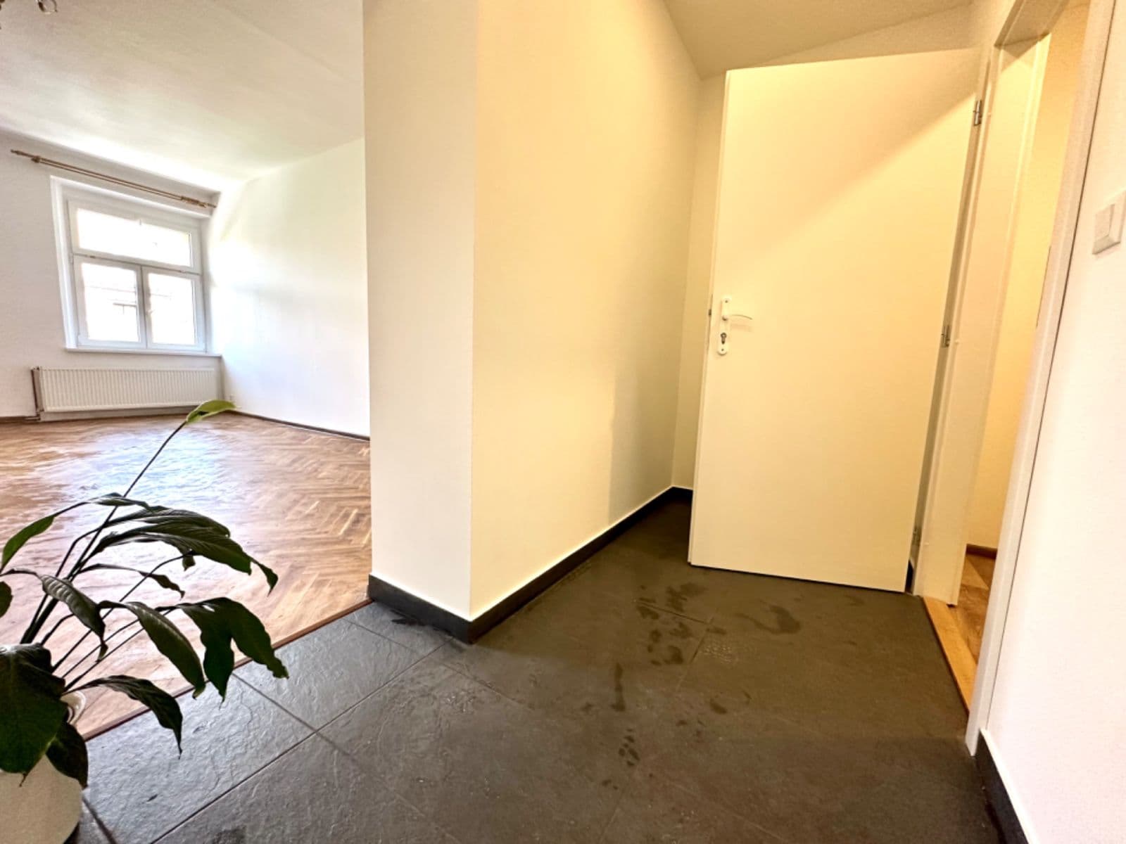 Pronájem bytu 2+kk 80 m², U Kněžské louky, Praha, Praha Pronájem bytu 2+kk 80 m², U Kněžské louky, Praha, Praha