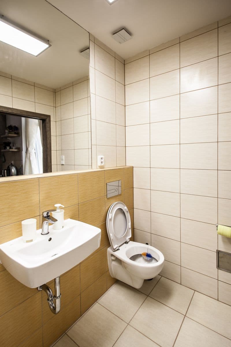 Pronájem bytu 20 m², Lesní, Mariánské Lázně, Karlovarský kraj Pronájem bytu 20 m², Lesní, Mariánské Lázně, Karlovarský kraj