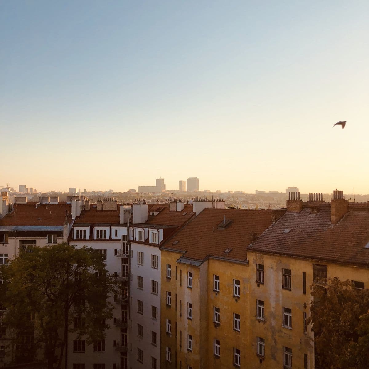 Pronájem bytu 42 m², Moskevská, Praha, Praha Pronájem bytu 42 m², Moskevská, Praha, Praha
