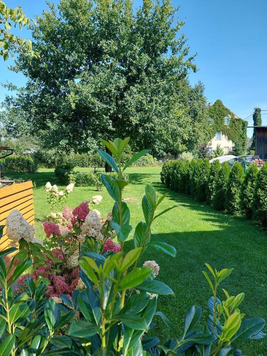 Pronájem chaty, chalupy, Svijany, Liberecký kraj Pronájem chaty, chalupy, Svijany, Liberecký kraj