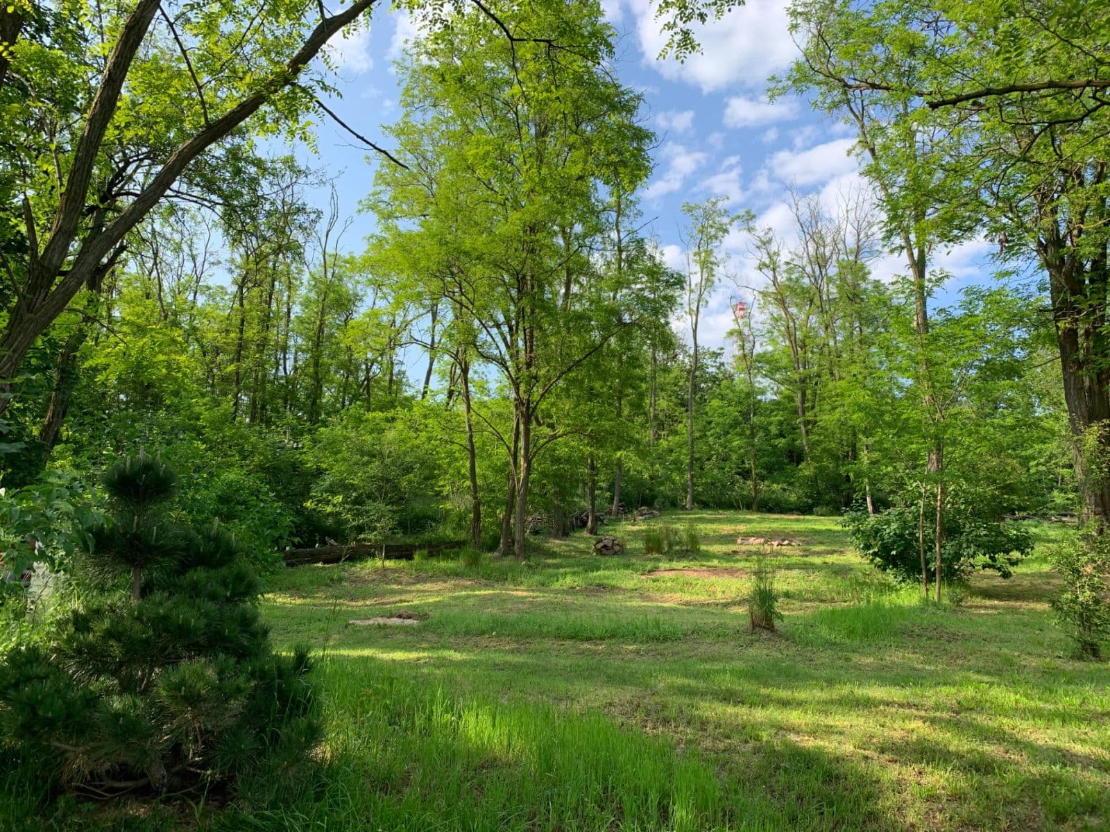 Prodej pozemku 2.112 m², Nebovidy, Jihomoravský kraj Prodej pozemku 2.112 m², Nebovidy, Jihomoravský kraj