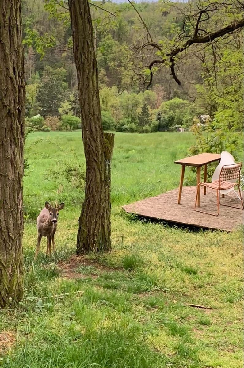 Prodej pozemku 2.112 m², Nebovidy, Jihomoravský kraj Prodej pozemku 2.112 m², Nebovidy, Jihomoravský kraj