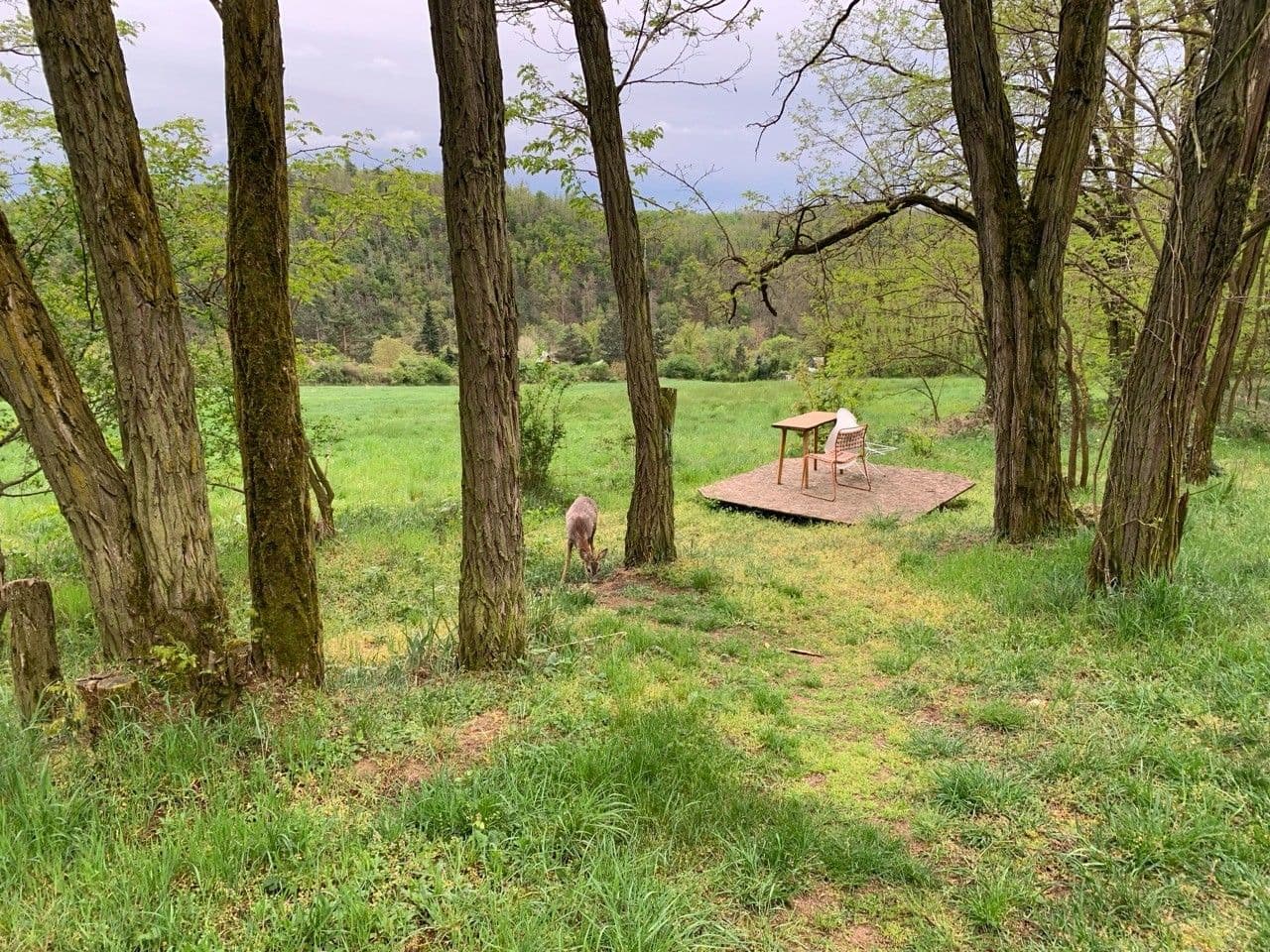 Prodej pozemku 2.112 m², Nebovidy, Jihomoravský kraj Prodej pozemku 2.112 m², Nebovidy, Jihomoravský kraj