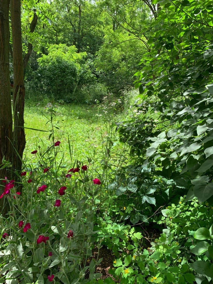 Prodej pozemku 2.112 m², Nebovidy, Jihomoravský kraj Prodej pozemku 2.112 m², Nebovidy, Jihomoravský kraj