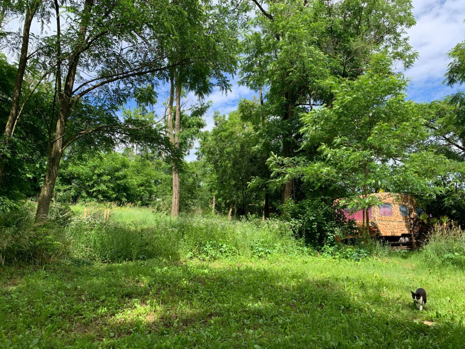 Prodej pozemku 2.112 m², Nebovidy, Jihomoravský kraj Prodej pozemku 2.112 m², Nebovidy, Jihomoravský kraj