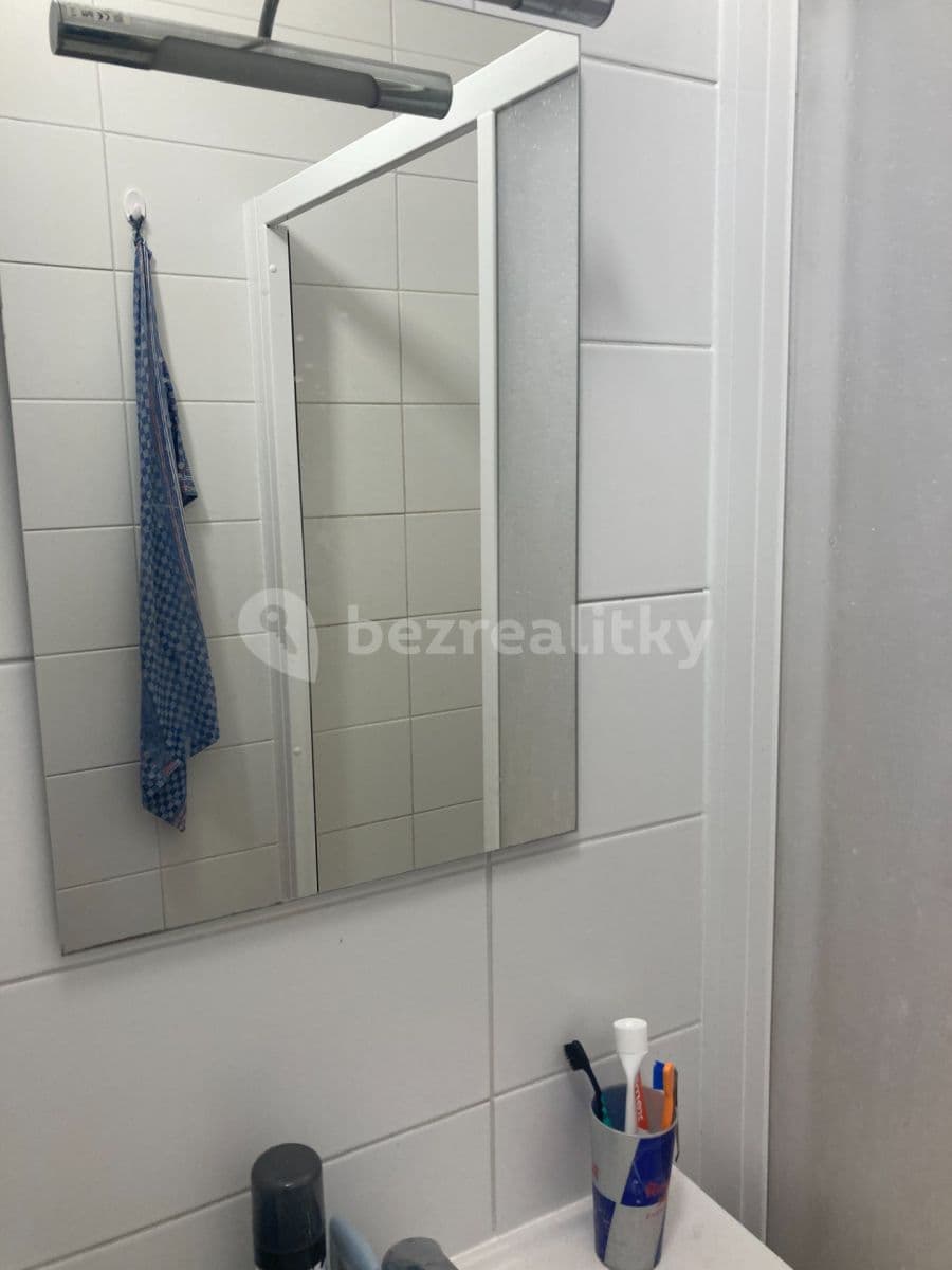 Pronájem bytu 1+kk 45 m², Rybnická, Brno, Jihomoravský kraj Pronájem bytu 1+kk 45 m², Rybnická, Brno, Jihomoravský kraj