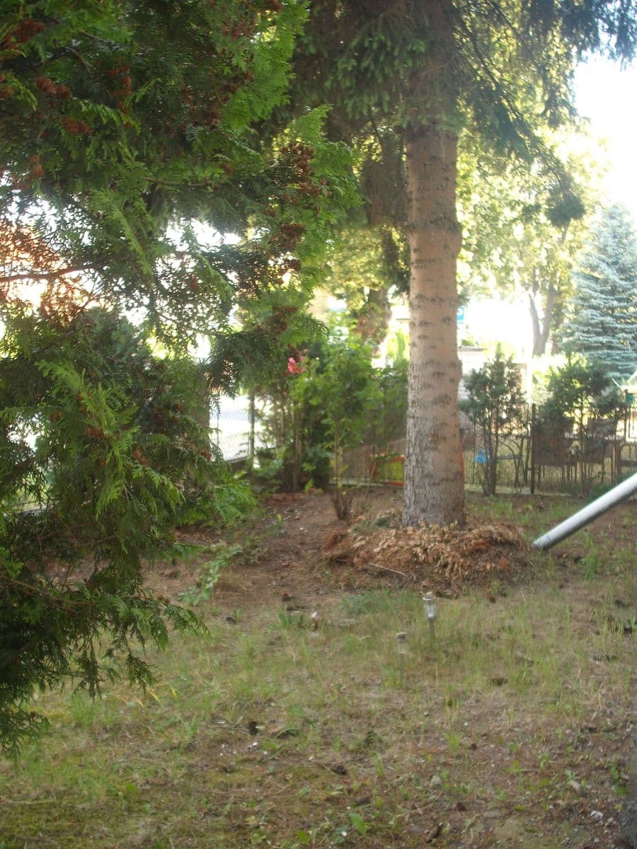 Prodej domu 209 m², pozemek 1.454 m², Pouchovská, Hradec Králové, Královéhradecký kraj Prodej domu 209 m², pozemek 1.454 m², Pouchovská, Hradec Králové, Královéhradecký kraj