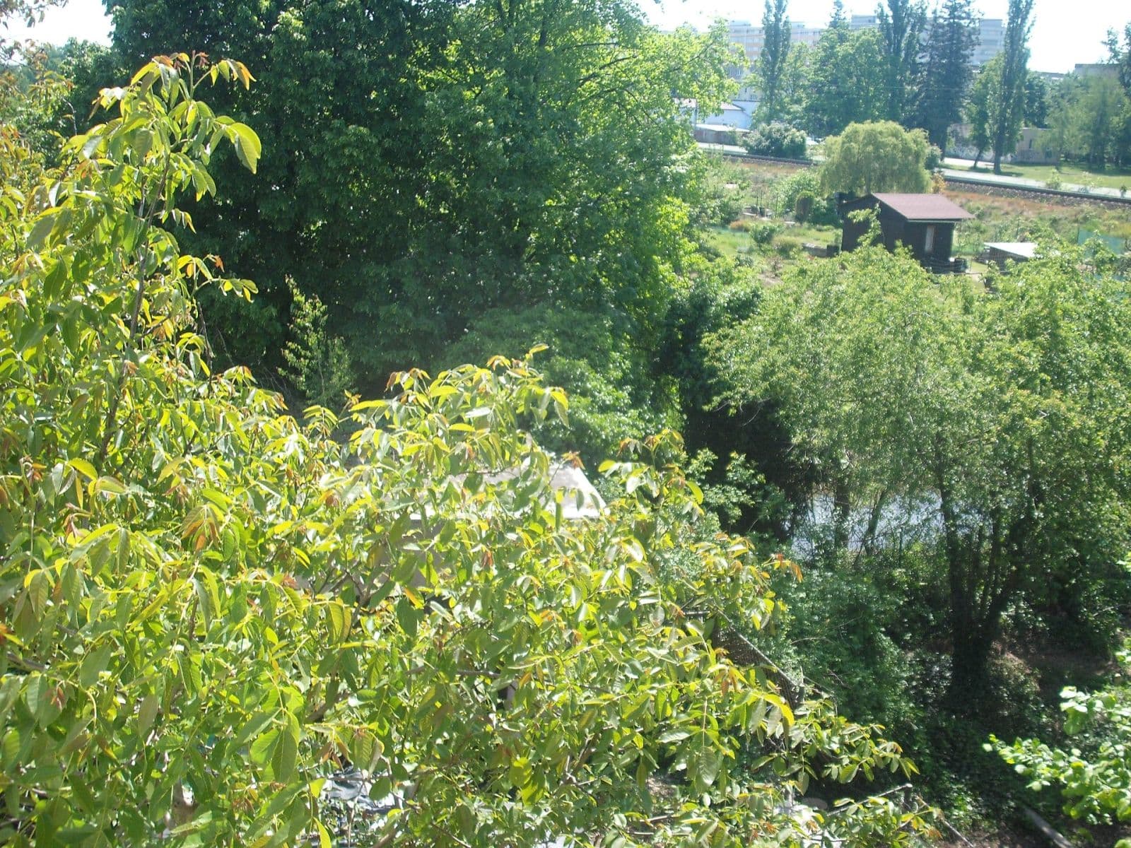 Prodej domu 209 m², pozemek 1.454 m², Pouchovská, Hradec Králové, Královéhradecký kraj Prodej domu 209 m², pozemek 1.454 m², Pouchovská, Hradec Králové, Královéhradecký kraj