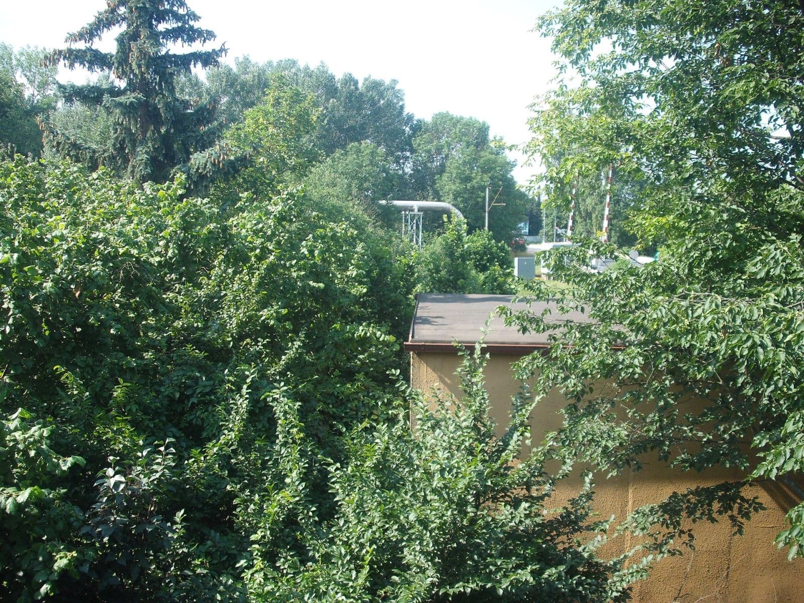 Prodej domu 209 m², pozemek 1.454 m², Pouchovská, Hradec Králové, Královéhradecký kraj Prodej domu 209 m², pozemek 1.454 m², Pouchovská, Hradec Králové, Královéhradecký kraj