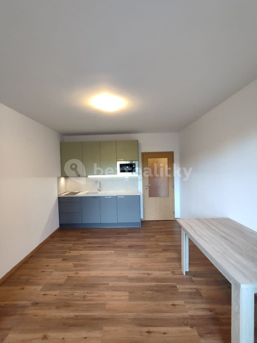 Pronájem bytu 1+kk 25 m², Božetěchova, Brno, Jihomoravský kraj Pronájem bytu 1+kk 25 m², Božetěchova, Brno, Jihomoravský kraj
